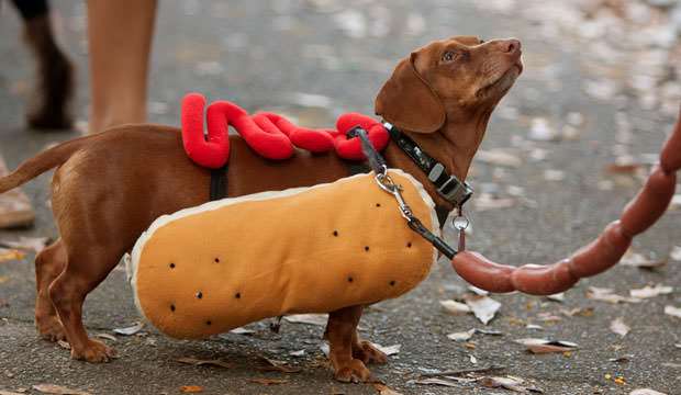 Hot-dog-Deposit