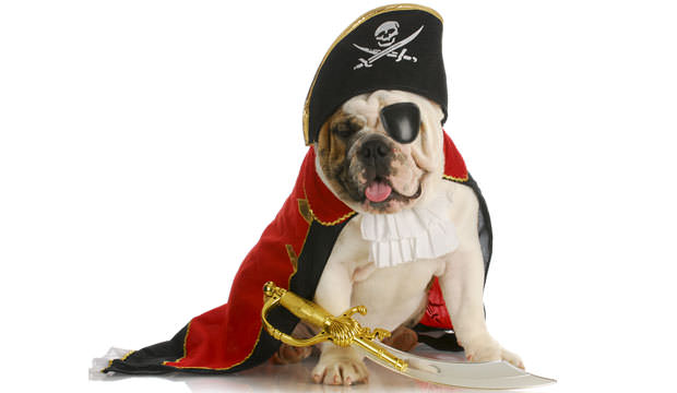 Pirate-costume