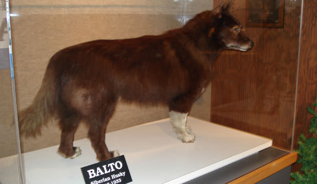 Balto-Wikimedia