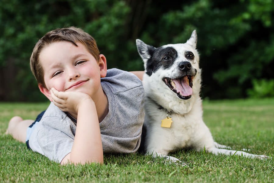 bigstock-Child-playing-with-his-pet-dog-46799497