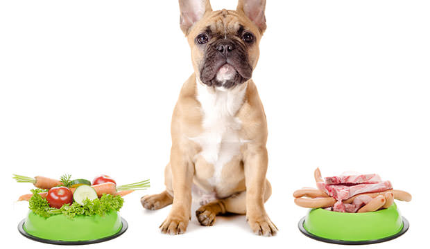 bigstock-Vegetables-Or-Meat-For-The-Dog-51736513