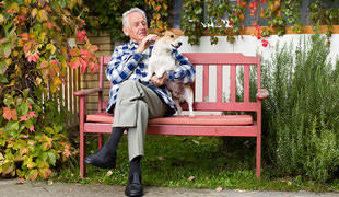 Pet Therapy – Can Dogs Cure Dementia In Humans?