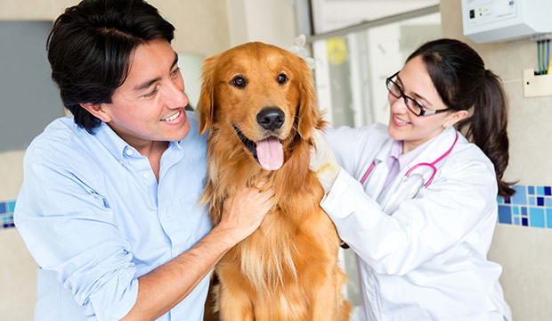 bigstock-Dog-at-the-vet-with-his-owners--43964047