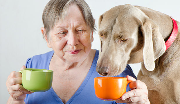 bigstock-Senior-Woman-And-Dog-58159616