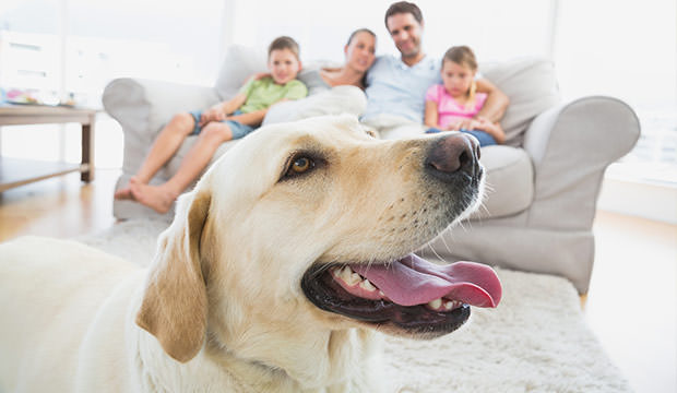 bigstock-Happy-family-sitting-on-couch--60983720