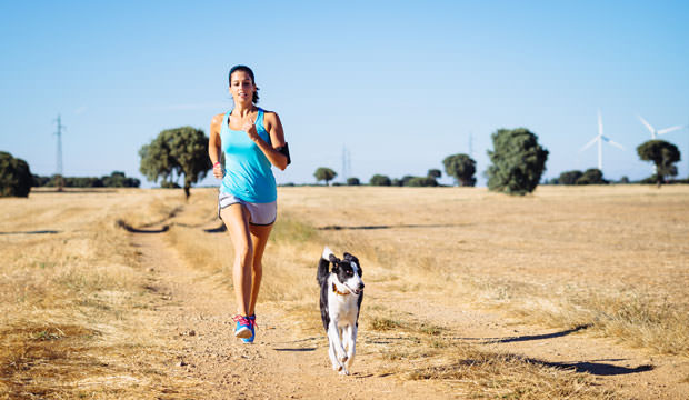 How-To-Exercise-With-Your-Dog-1-cover