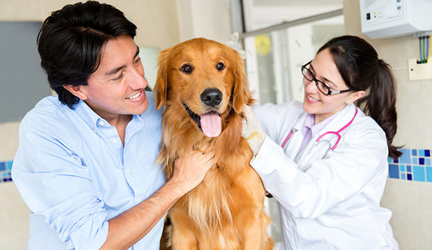 bigstock-Dog-at-the-vet-with-his-owner--43964047