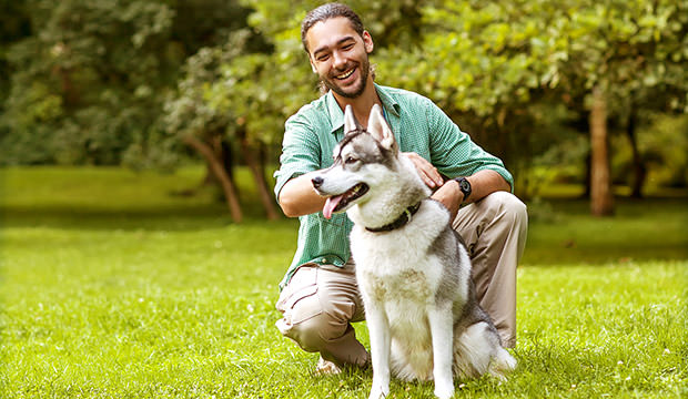 Tips To Raise A Healthy Husky Dog Notebook
