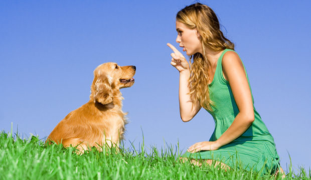 bigstock-young-woman-with-dog-16235621