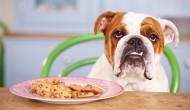 Peanut Butter Cookies For Your Pooch