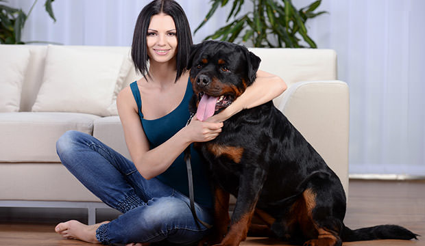 bigstock-Woman-With-A-Rottweiler-Dog-61921316