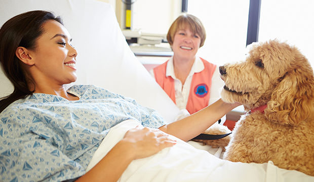 bigstock-Pet-Therapy-Dog-Visiting-Femal-55986347