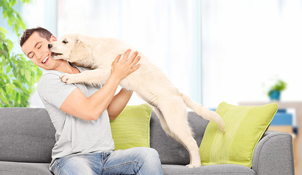bigstock-Young-man-playing-with-a-puppy-66504211