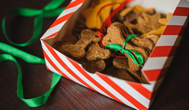 home-made-christmas-treats-for-your-dog