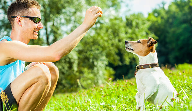 3 Crucial Behavioral Tips For The First Time Dog Owners Dog Notebook