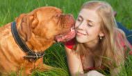 Top 7 Most Emotional Dog Breeds With Most Sensitive Souls