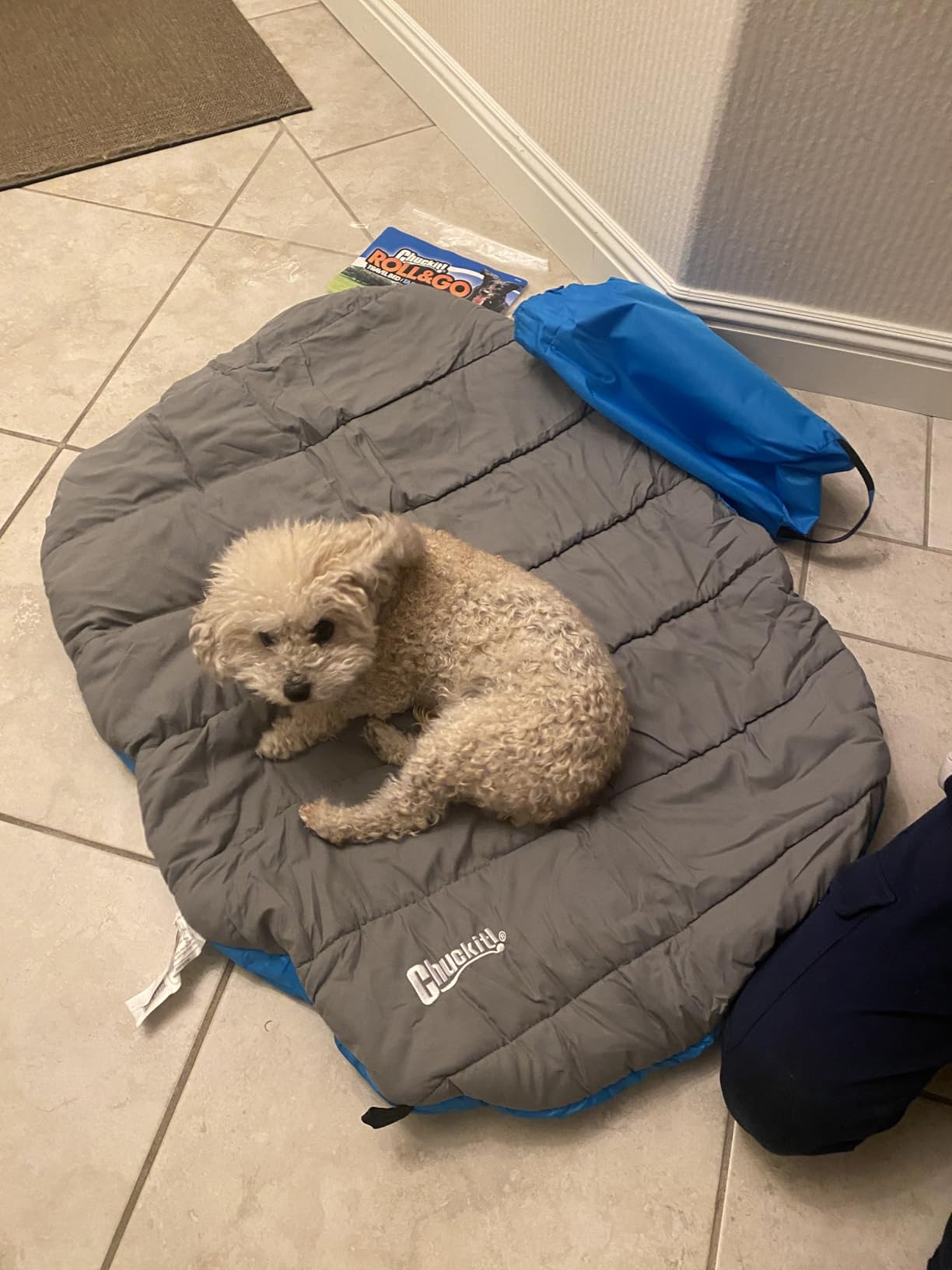Chuckit! Outdoor Travel Portable Water Resistant Travel Pillow Dog Bed For Medium to Large Dogs 20 to 100 lbs, 39