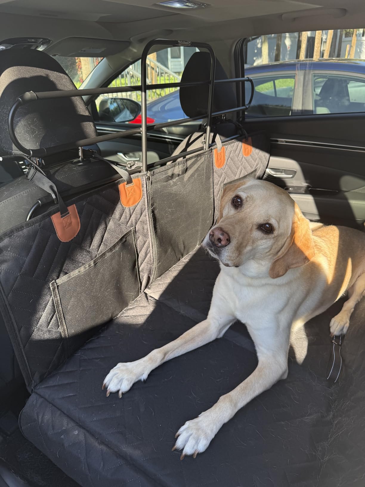 The Original ZooKeeper Car, SUV, Truck Dog Barrier: Adjustable Universal for all Vehicles - Moves with Your Vehicle Seats. Tilt. Slide. Recline. Easy Install - Strong Metal Tubing Gate Pet Divider customer photo 1