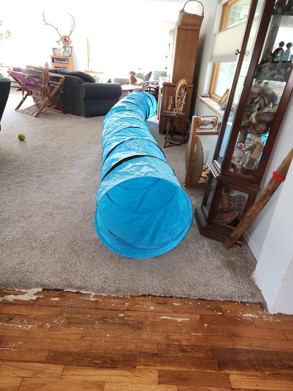 18 Ft Dog Agility Training Open Tunnel customer photo 2