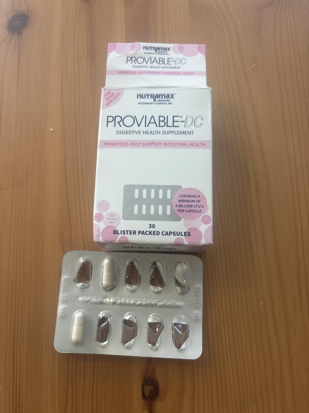 Nutramax Proviable Probiotics for Dogs & Cats, Sprinkle Capsules, 30ct customer photo 2
