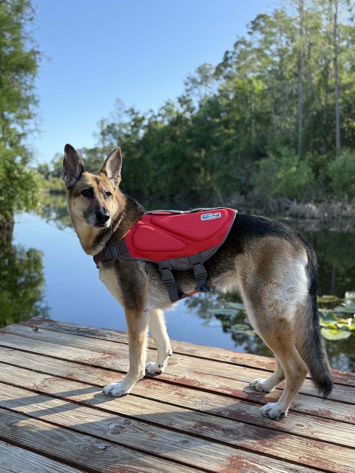 Outward Hound Granby Splash Orange Dog Life Jacket, XL customer photo 2