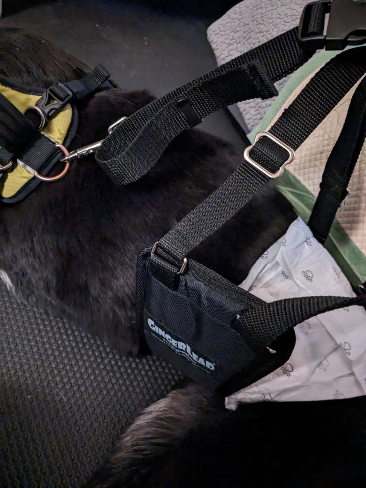 Dog Sling Hind Leg Support, M/LG Unisex with Cutout, Made in USA | Help Pets Walk, K9s Recover from Surgery, Fits Male & Female, Integrated Leash, Machine Wash/Dry, Chest Harness NOT Included customer photo 2