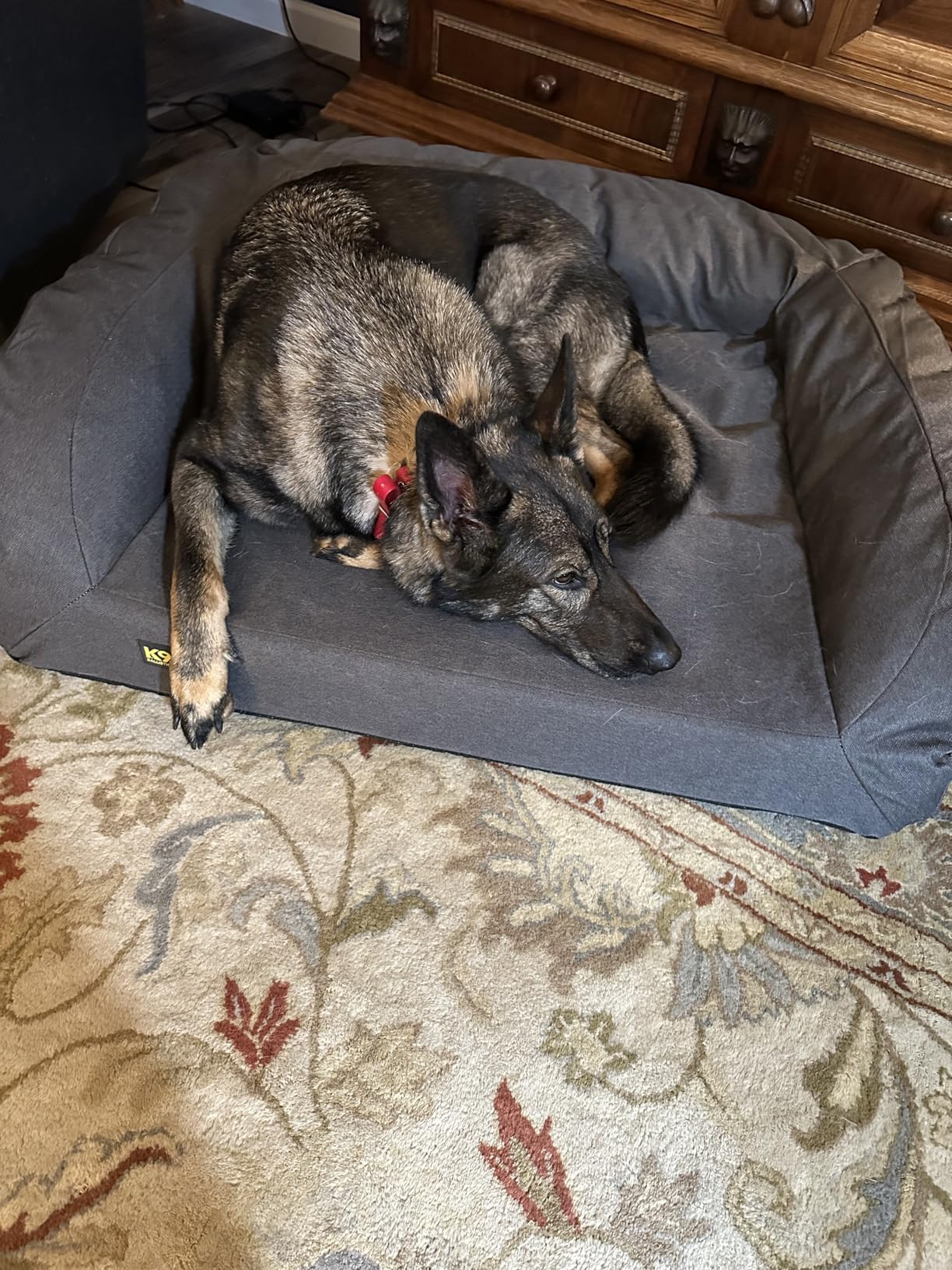 K9 Ballistics Tough Orthopedic Large Bolster Dog Bed - Washable, Durable and Water Resistant Dog Bed - Made for Big Dogs, 34