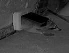 Cat Mate Microchip Activated Cat Flap, For Cats and Small Dogs customer photo 2