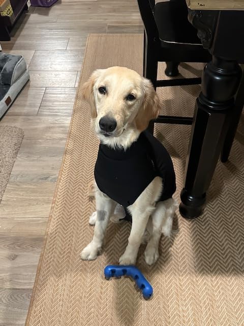 Suitical Recovery Suit for Dogs - Dog Surgery Recovery Suit with Clip-Up System - Breathable Fabric for Spay, Neuter, Incontinence - Back 24-28.3 in, Weight 48-60 lbs Medium +, Black customer photo 1