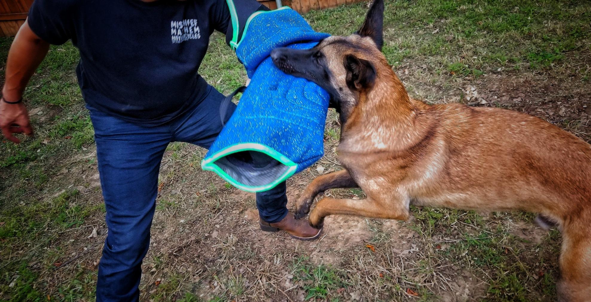 Viper Multi Level Dog Bite Sleeve with 3-Way Adjustable Bite Bar - Left Hand (Sleeve with Synthetic Cover) customer photo 1