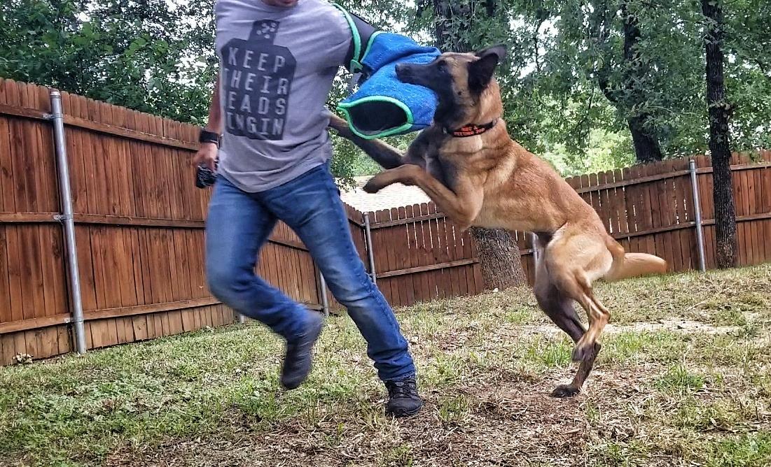 Viper Multi Level Dog Bite Sleeve with 3-Way Adjustable Bite Bar - Left Hand (Sleeve with Synthetic Cover) customer photo 2