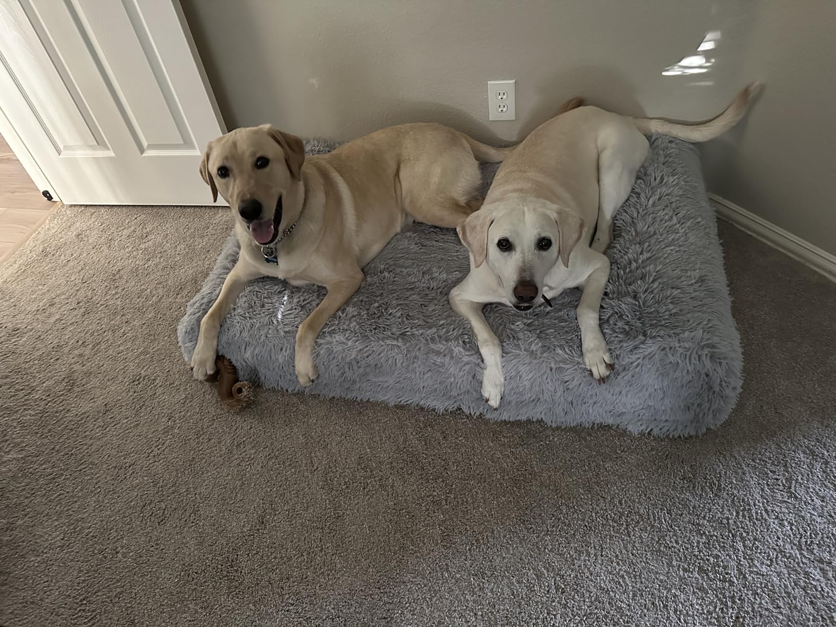KOPEKS Orthopedic Memory Foam Dog Bed 7