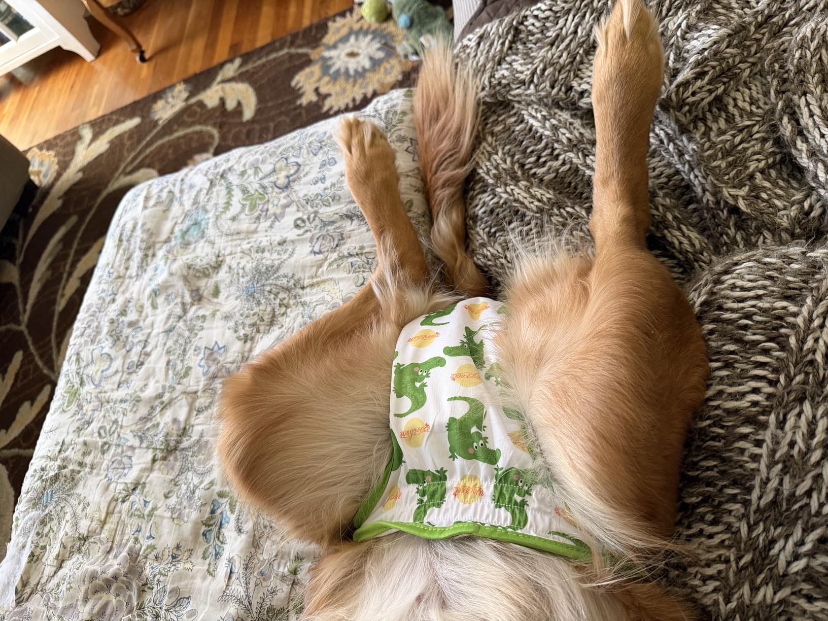 Wegreeco Washable Reusable Premium Female Dog Diapers, Medium Large Small Dog Doggie Puppy & Doggy Diapers Female,Period Panties in Heat (Pack of 3, Medium) customer photo 2