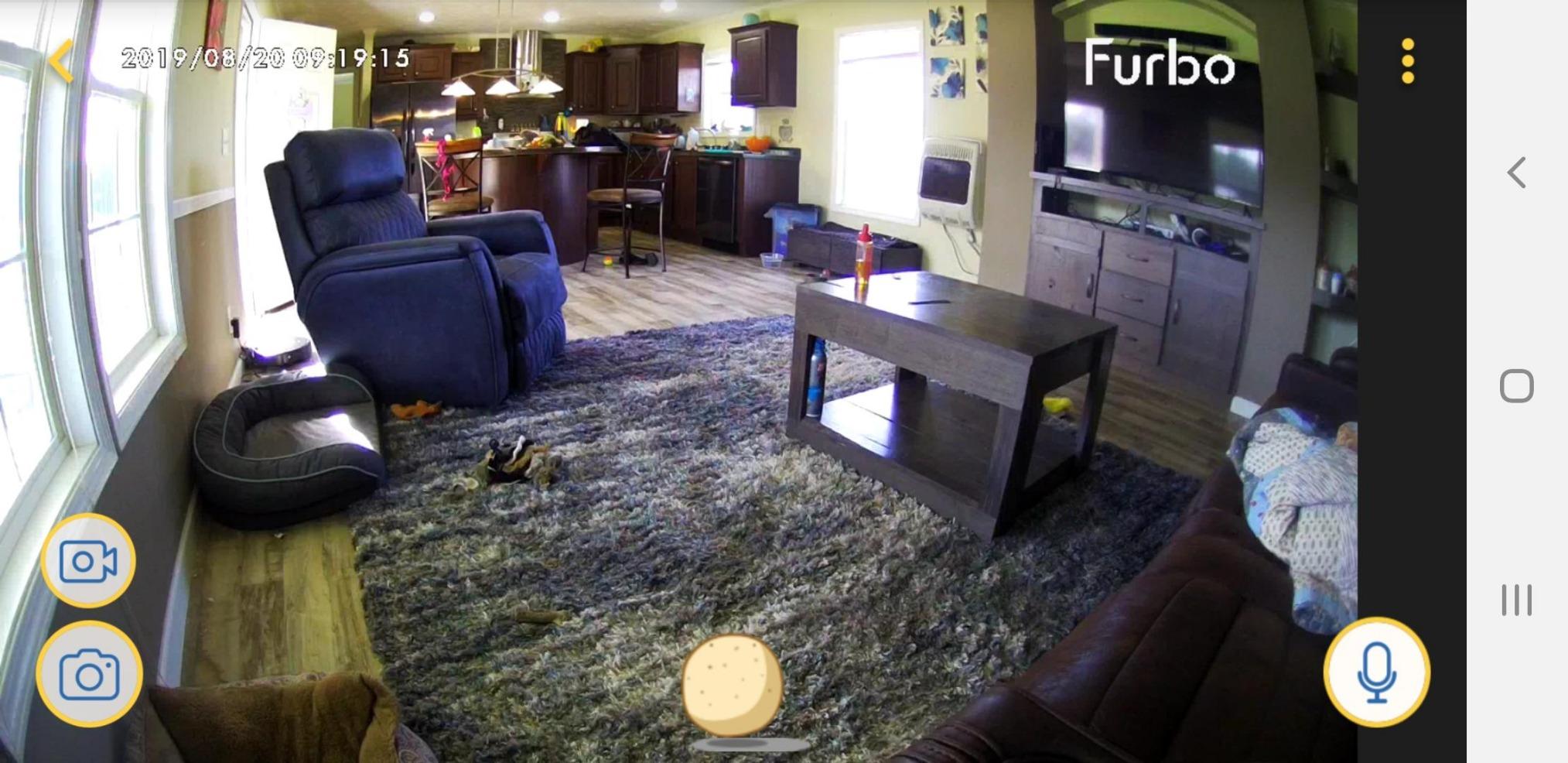 Furbo Dog Camera: Treat Tossing, Full HD Wifi Pet Camera and 2-Way Audio, Designed for Dogs, Compatible with Alexa (As Seen On Ellen) customer photo 2