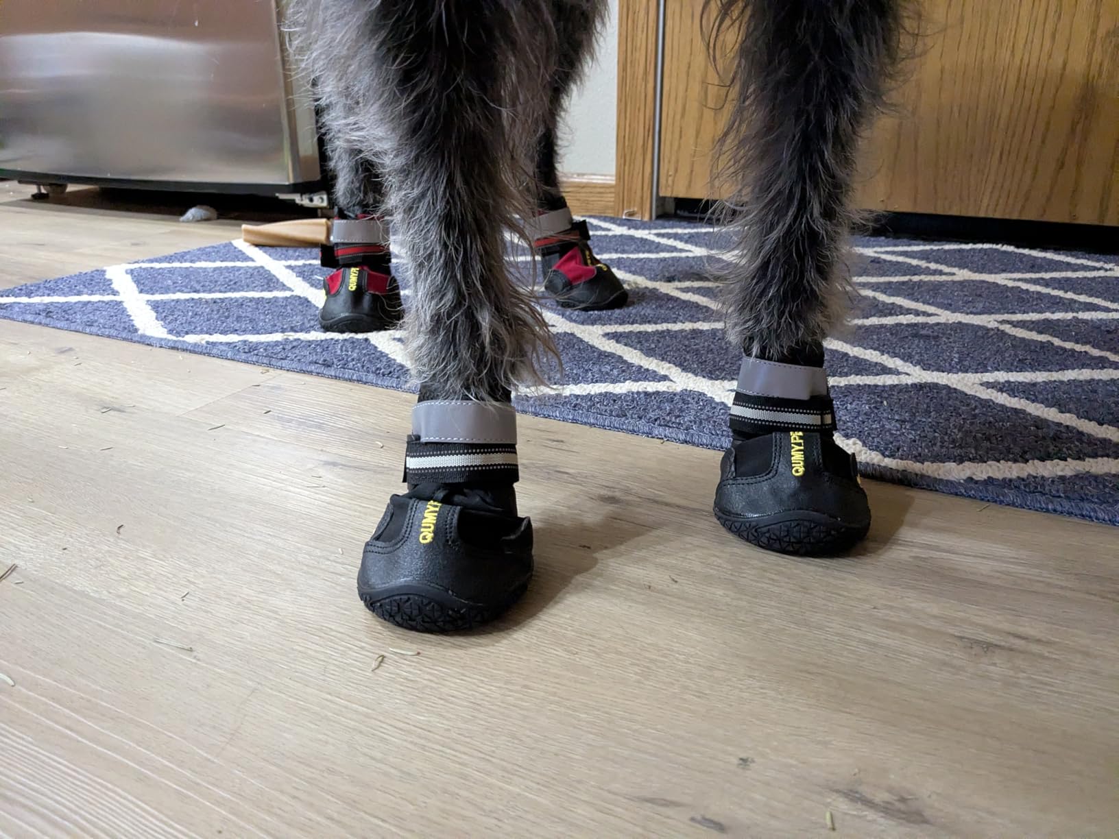 QUMY Dog Shoes for Large Dogs - Medium Dog Boots & Paw Protectors for Winter Snowy Day, Summer Hot Pavement, Water-Resistant, Skid-Resistant Sole customer photo 1