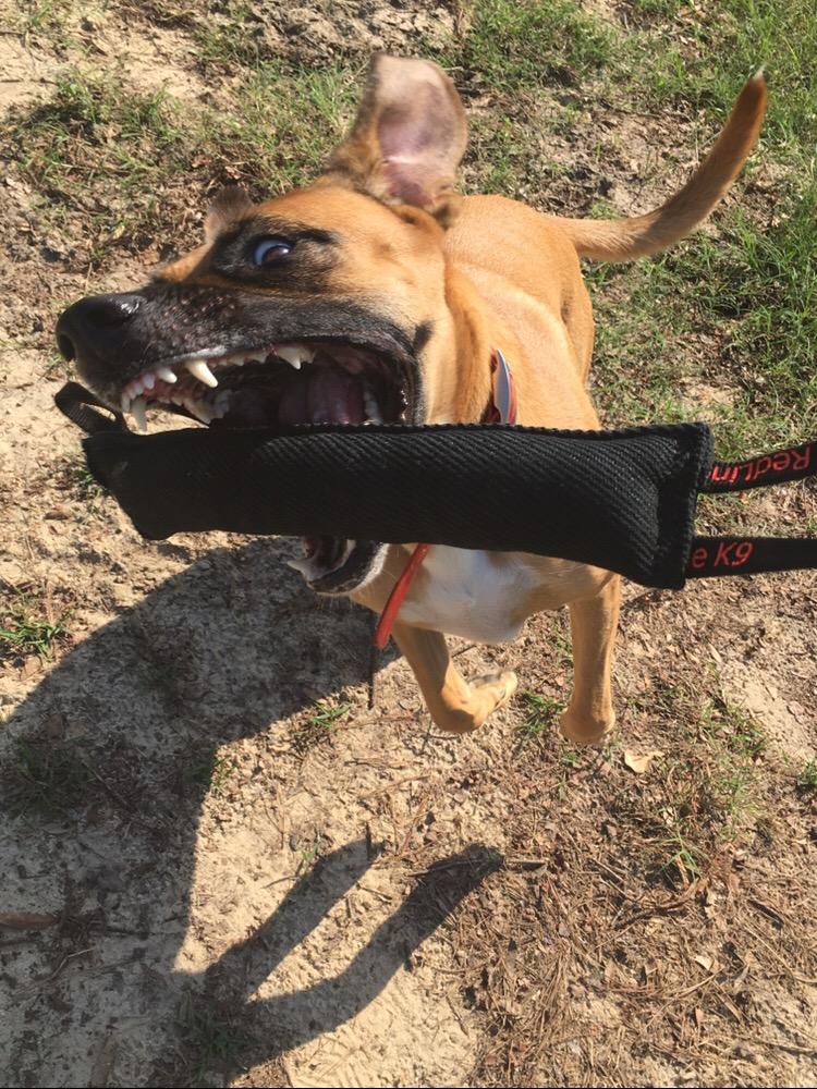 REDLINE K-9 Dog Bite Tug Toy 3