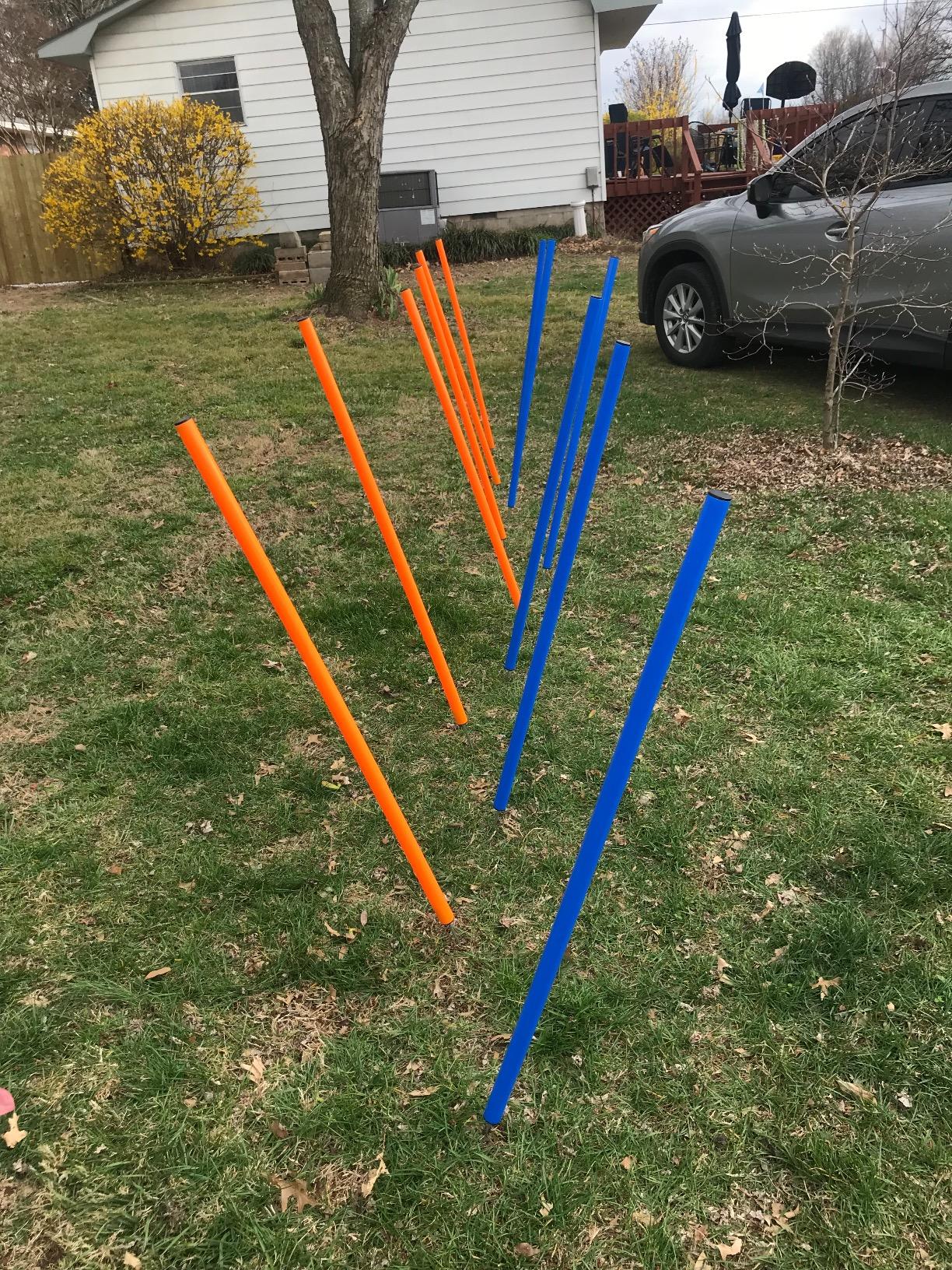 PAWISE Dog Agility Training Equipment,Pet Training Hurdles & Weave Poles Set with Adjustable Jump Bar,Outdoor Dog Obstacle Course for Backyard Exercise customer photo 1