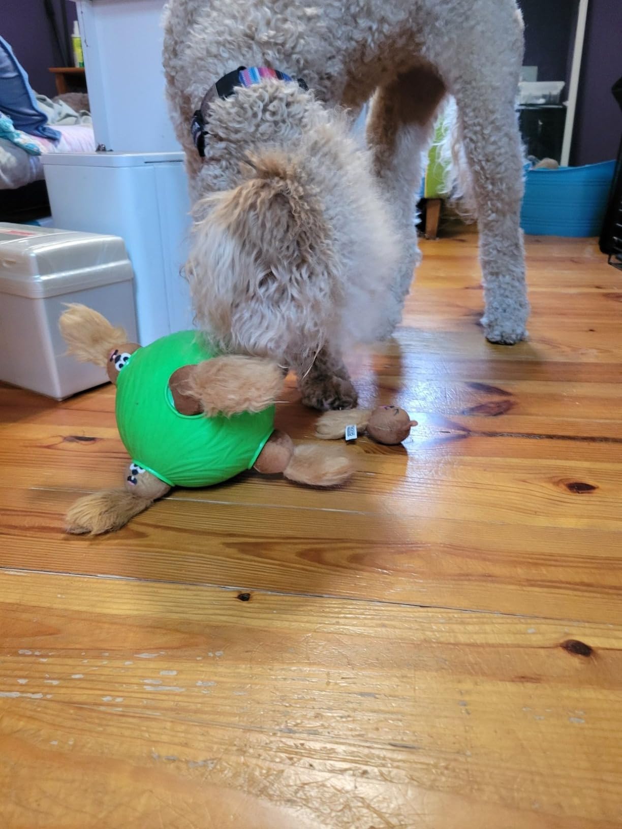 Outward Hound by Nina Ottosson Dog Brick - Interactive Treat Puzzle Enrichment Toy, Level 2 Intermediate customer photo 2
