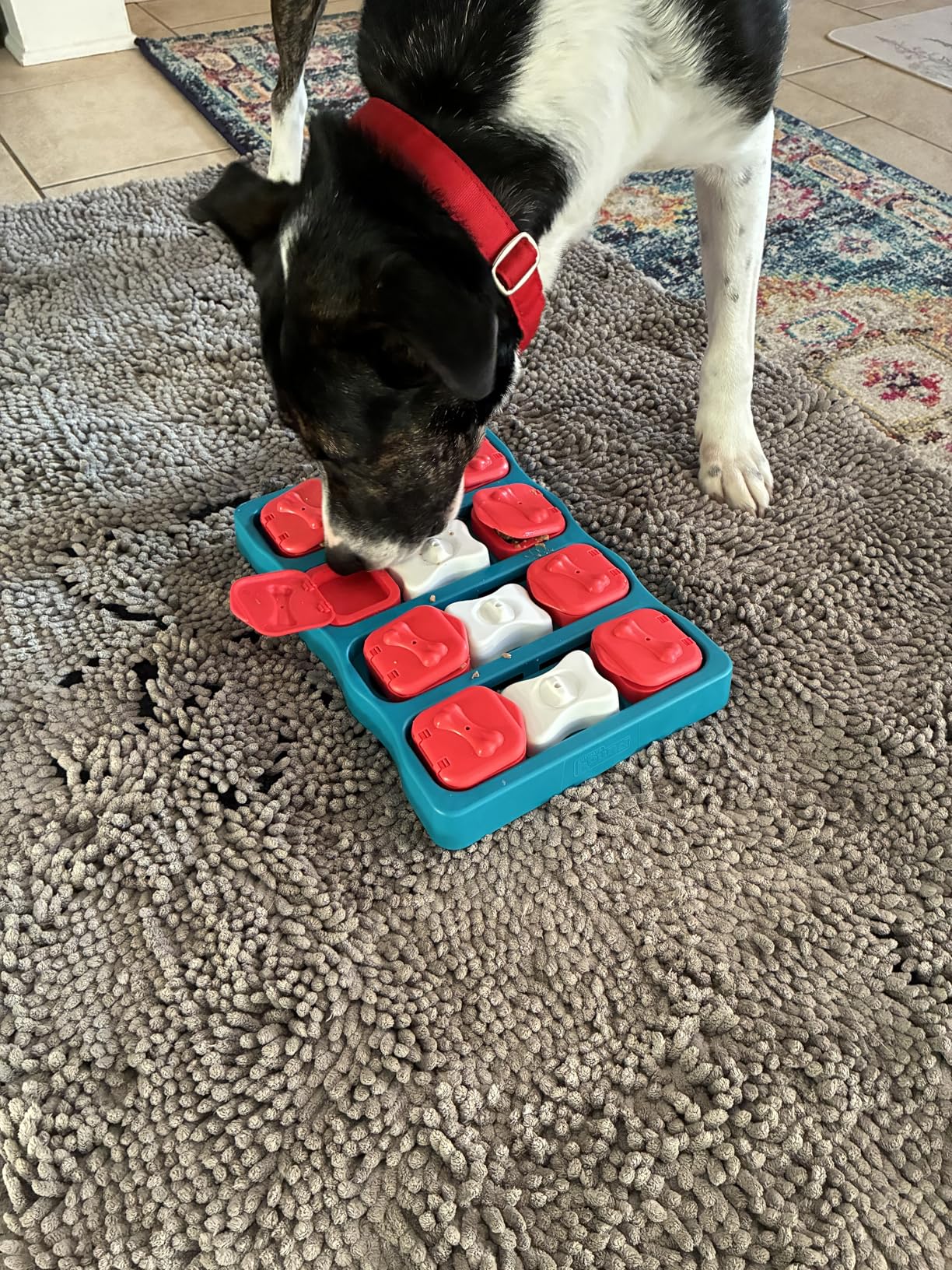 Outward Hound by Nina Ottosson Dog Tornado - Interactive Treat Puzzle Enrichment Toy, 3 Spinning Layers, Level 2 Intermediate customer photo 1