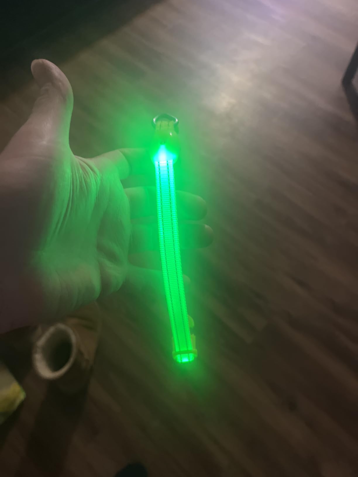 Illumifun LED Dog Collar, Light Up Dog Collar Rechargeable Glow in Dark Pet Collar Safety Dog Lights for Night Walking Camping (Green, Large) customer photo 1