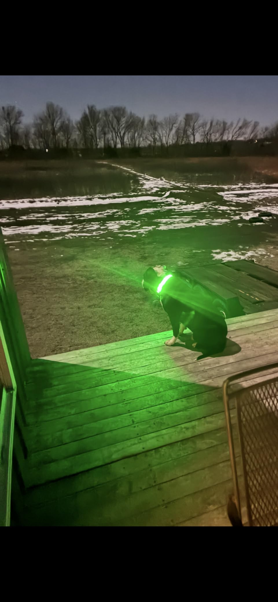Illumifun LED Dog Collar, Light Up Dog Collar Rechargeable Glow in Dark Pet Collar Safety Dog Lights for Night Walking Camping (Green, Large) customer photo 2