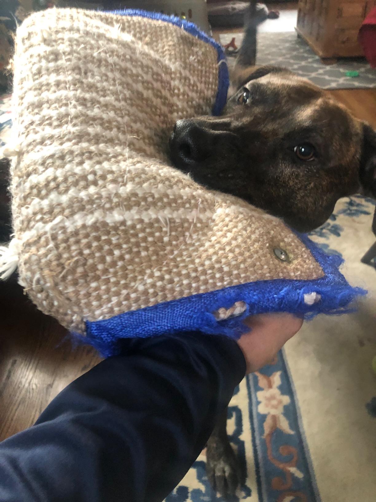 PET Artist Jute/Linen Bite Wedge Bite Pillow 2 Handle with 1 Loop Tug Toy 14