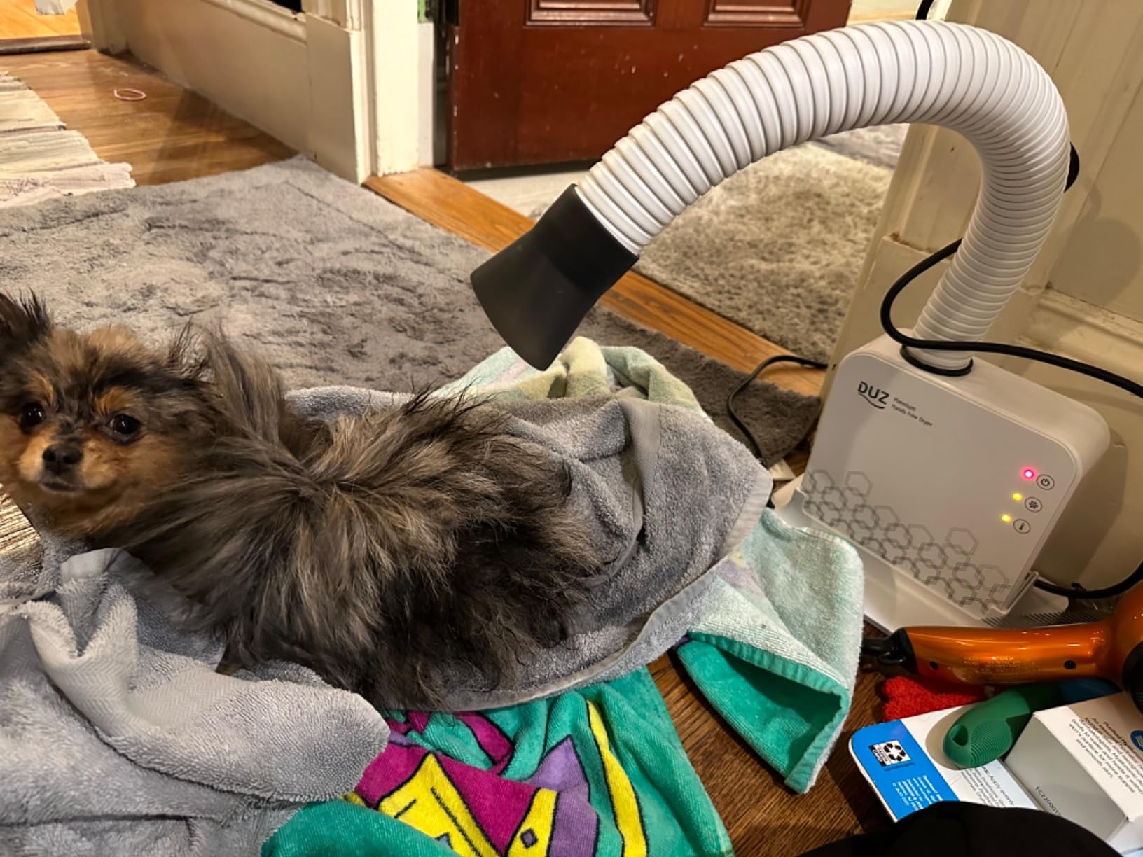 DUZ V2 Super Quiet Hands-Free Pet Dryer: Low-Noise Dog Dryer for Grooming, Reduces Labor & Stress, Ideal for Small Dogs and Cats, 1-Year Warranty customer photo 2
