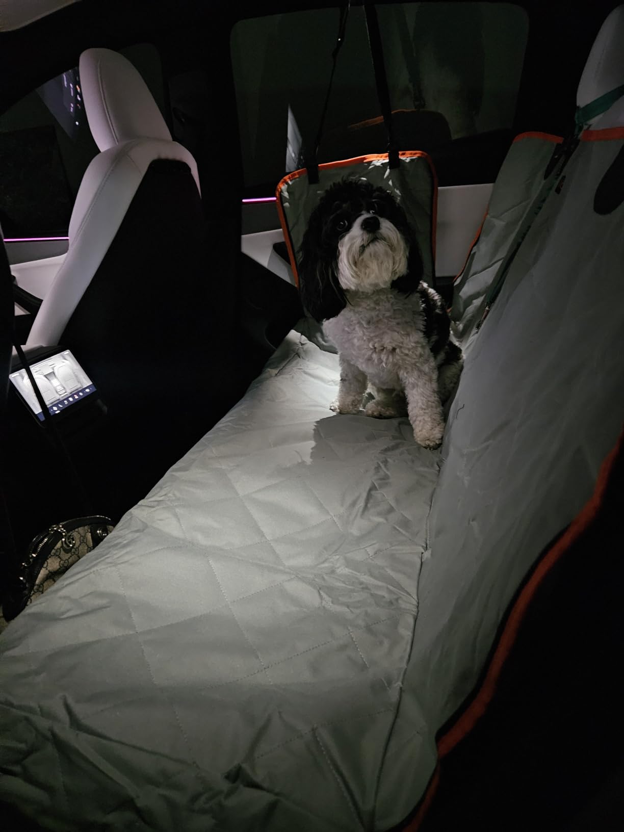 iBuddy Luxury Dog Car Seat Cover for Back Seat Breathable Mesh Window Dog Hammock for Car 4-Layer Heavy Duty Waterproof Pet Seat Protector Scratch-Proof Car Seat Cover Perfect for Family Road Trips customer photo 1