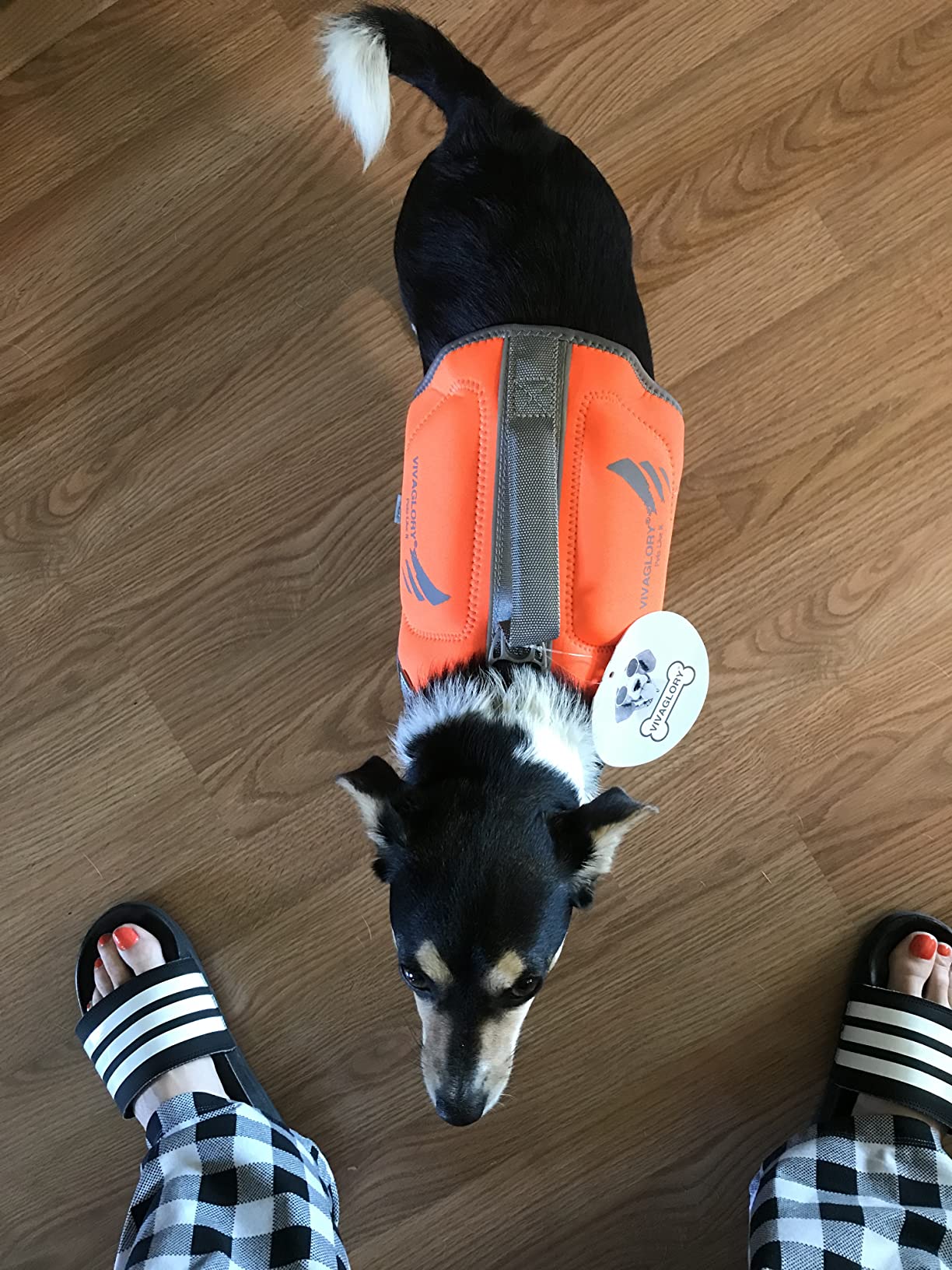 VIVAGLORY High Buoyancy Dog Life Vest, Swimming Vest with Handle, Dog Life Jacket for Swimming & Boating, XL, Pink customer photo 2