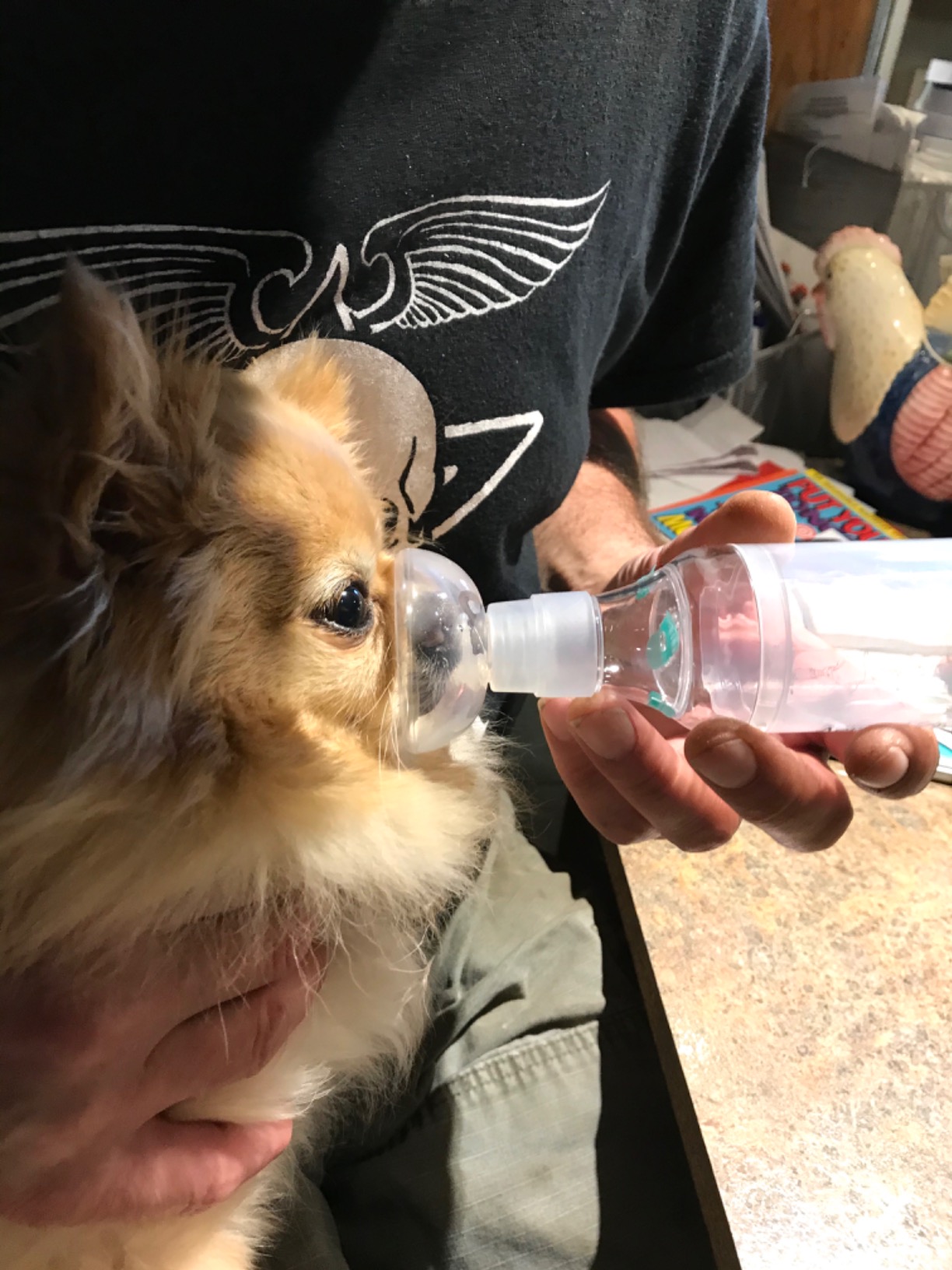Dog Aerosol Chamber (3 Masks) - Canine Inhaler Spacer for Dogs - Includes 3 Masks to Fit All Dogs (Premium Quality) customer photo 1