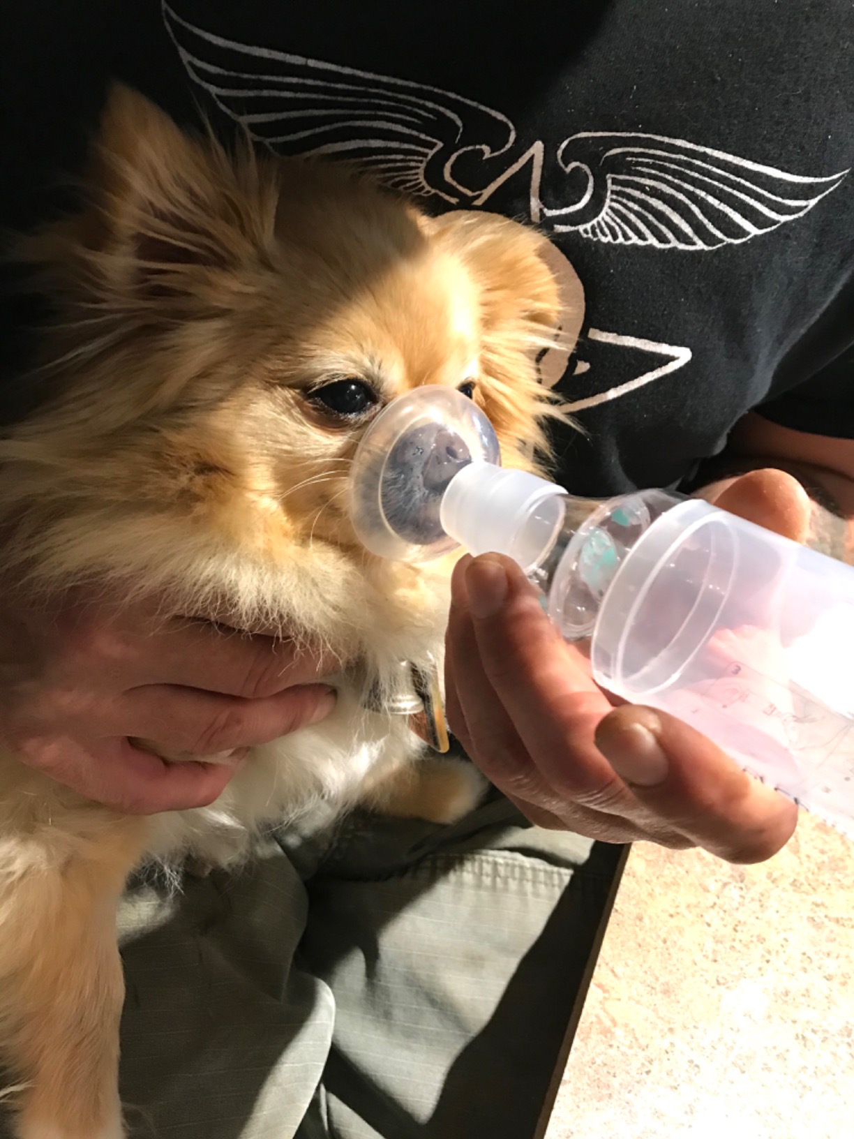 Dog Aerosol Chamber (3 Masks) - Canine Inhaler Spacer for Dogs - Includes 3 Masks to Fit All Dogs (Premium Quality) customer photo 2