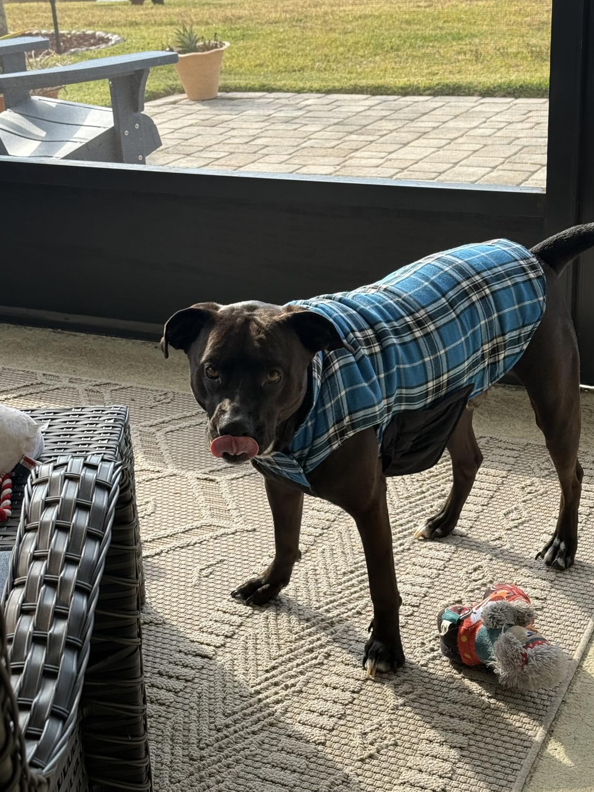 Kuoser Warm Dog Coat, Waterproof Dog Jacket for Extra Large Dogs, Adjustable Durable XXL Doggie Winter Coat Reversible Puppy Cold Weather Apparel from Small to Large Breed, Blue XXL customer photo 2