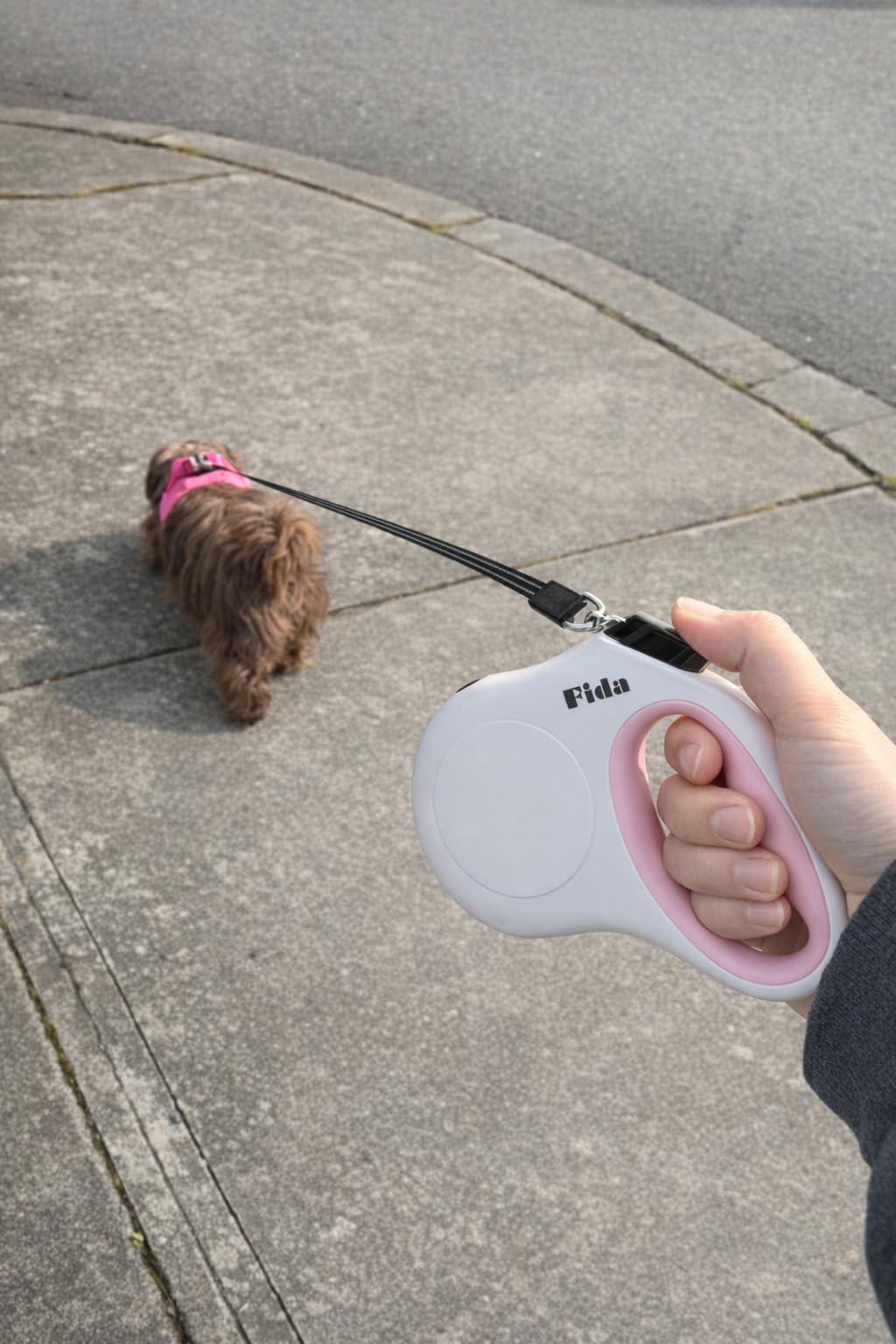 Fida Retractable Dog Leash Large Breed, Heavy Duty 16 ft Dog Walking Leash, up to 110 lbs, 360° Tangle Free, Black customer photo 1