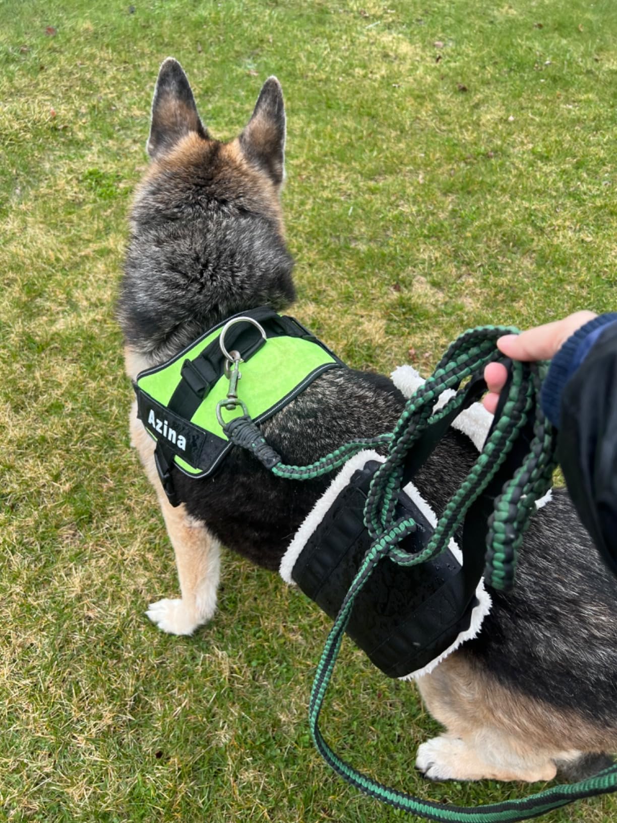 30-120 lbs Dog Sling for Large Dogs Hind Leg Support, Dog Lift Harness for Back Legs, Helps Elderly Pet with Reduced Mobility, Dog Lifter for Walking Canine Arthritis ACL Rehabilitation Rehab (Black) customer photo 2